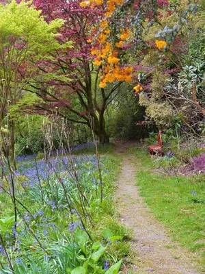 a path through a garden with flowers and a tree at Coachmans Cottage in Carsethorn