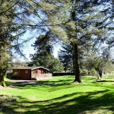 Secluded Pine Lodge 2