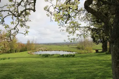 a pond in the middle of a field with trees at Great Calva, Sebergham, perfect for 2 families or friends with 3 dogs welcome and hot tub in Sebergham
