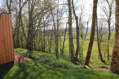 a path through a forest with trees and grass at Ruecroft, Penruddock an Eco & dog friendly lodge with a hot tub, 10 minutes from Lake Ullswater in Penruddock