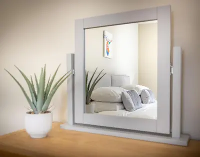 a mirror sitting on a table with a potted plant at The Farmhouse, Sebergham, spacious family or group accommodation in a rural setting close to Caldbeck in Sebergham