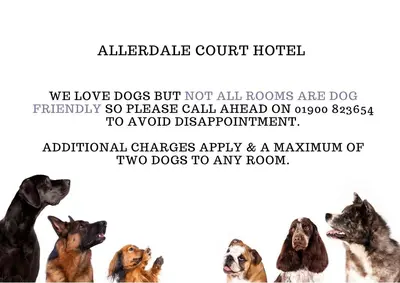 a group of dogs sitting in a row at Allerdale Court Hotel in Cockermouth