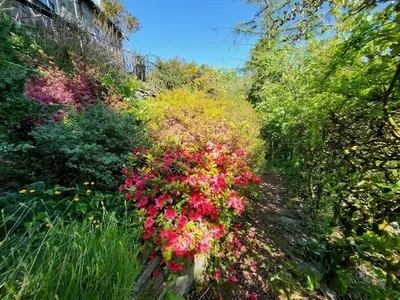 a garden with colorful flowers on a wall at Lingmoor Cottage in Chapel Stile