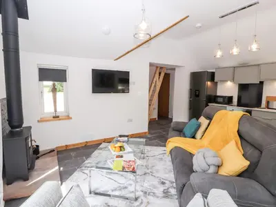 a living room with a couch and a stove at Lands Brow Lodge in Red Dial