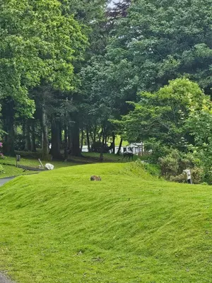 a park with green grass and trees in the background at The Sunny Bunny Holiday Home in Ballantrae