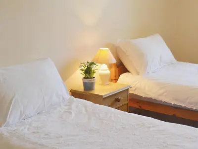 a bedroom with two beds and a lamp on a night stand at Birkerthwaite Farmhouse in Eskdale