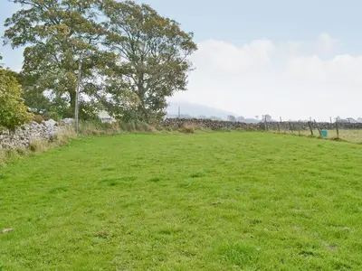 a field of green grass with a tree in the background at Foldgate in Waberthwaite