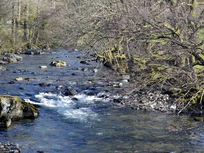 a river with rocks and trees on the side at Whistling Green in Ulpha