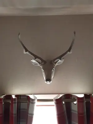 a head of a deer head with horns on a wall at Kirkcroft Guest House in Gretna