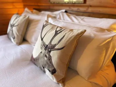 a picture of a deer head on a bed with pillows at Beautiful 2BR Beach Lodge Set In Stunning Gardens - Pass the Keys in Dalbeattie