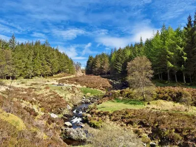 a river in the middle of a field with trees at Braemar in Lendalfoot