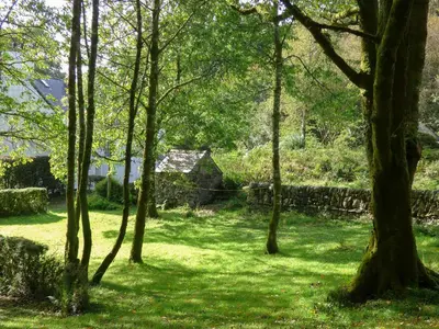 a garden with trees and a house in the background at Little Boreland in Gatehouse of Fleet