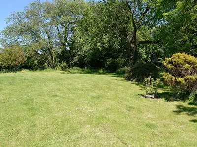 a grass field with a tree and some bushes at Olafs Cottage in Garlieston