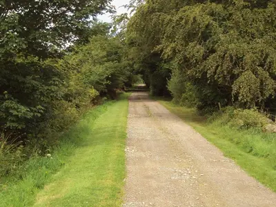 a dirt road with trees on both sides at Rose Cottage - 28176 in Fairgirth