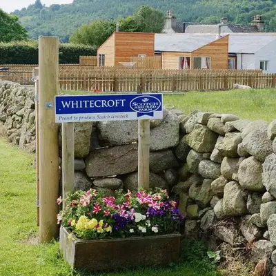 Rose Cottage - 28176