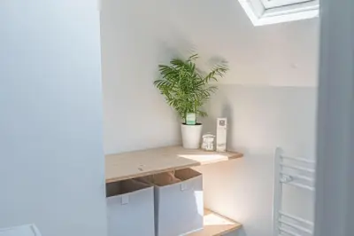 a plant sitting on a shelf in a room at Hazelgrove, Ratcliffe Place, Keswick in Keswick