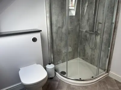 a bathroom with a shower and a toilet at Apple Cottage in Wigtown