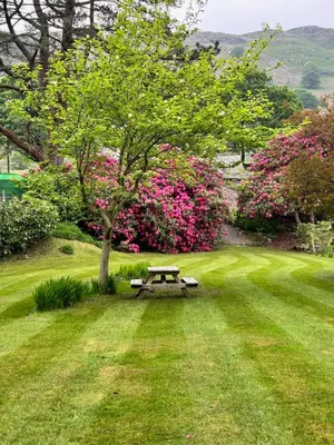 a picnic table in a field with a tree and flowers at The Chalets in Eskdale