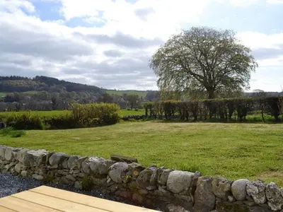 a stone wall next to a field with a tree at Blackloch in Gatehouse of Fleet