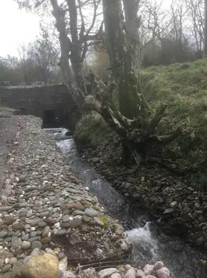 a creek with a bridge and a tree on a field at Lakeland Retreat in Lamplugh