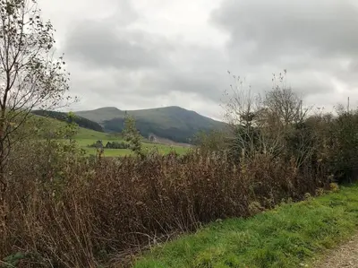a field with mountains in the background and grass at Lakeland Retreat in Lamplugh