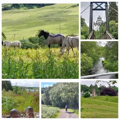 a collage of pictures of a horse in a field at Craigengillan Mini Lodge in Dalmellington