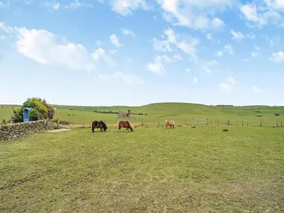 a group of horses grazing in a field at Seascape Barn in Kirkcolm
