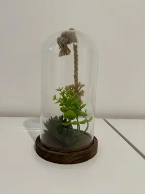 a small plant in a glass jar on a table at Harbourside Apartment - 1 Bedroom - Sleeps 2 in Whitehaven