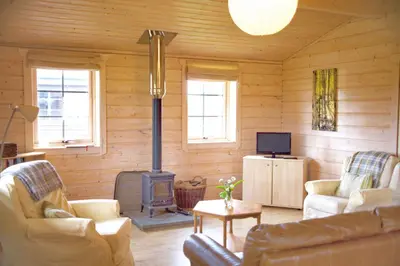 a living room with a fireplace in a log cabin at Skylark Lodge in Dumfries