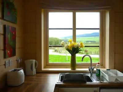 a kitchen sink with a vase of flowers in a window at Skylark Lodge in Dumfries