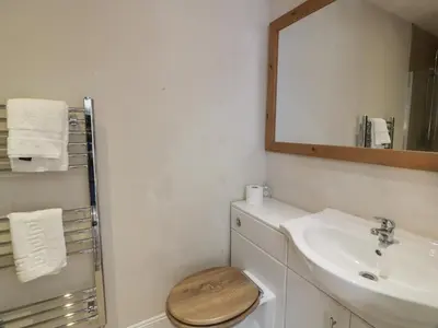 a bathroom with a sink and a toilet with a mirror at Little Dunbar Cottage in Dumfries