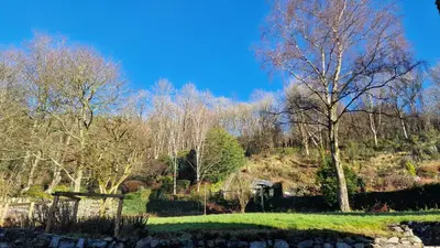 a park with trees and a hill with a tree at Nordlys Cottage in Newton Stewart