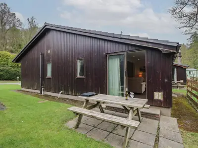 a picnic table in front of a tiny house at Dogwood Timber Lodge in Keswick