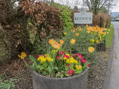 a bunch of flowers in a pot next to a sign at Dogwood Timber Lodge in Keswick