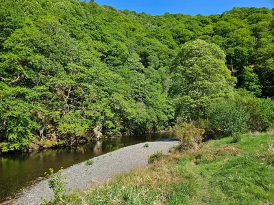 a river with trees on the side of it at Dogwood Timber Lodge in Keswick