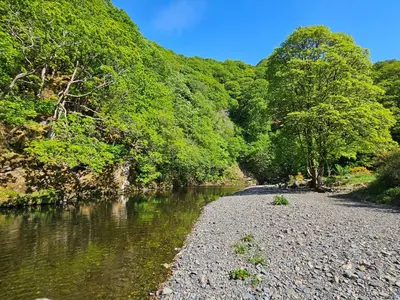 a river with a rocky shoreline next to trees at Elm Lodge in Keswick
