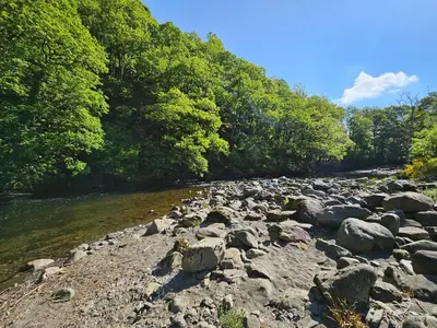 a group of rocks on a river with trees at Canadian Cabin No 38 in Keswick