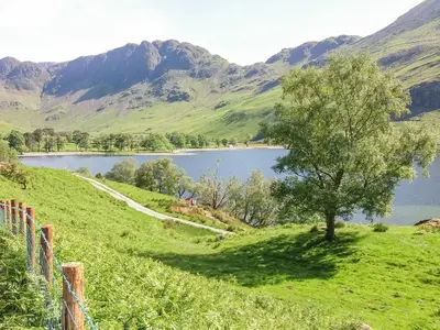 a tree on a hill next to a lake at Greta House in Keswick
