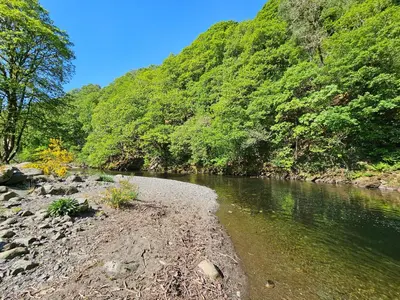 a river with rocks and trees on the side at Greta House in Keswick