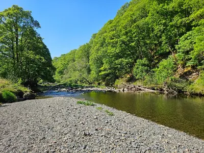 a river with a rocky shore next to a forest at Greta House in Keswick