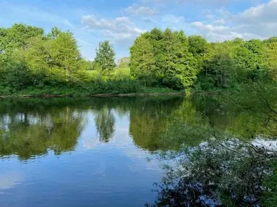 a view of a river with trees in the background at Geltsdale Wing, Wetheral 1st floor apartment with countryside views, close to pub & restaurant in Wetheral