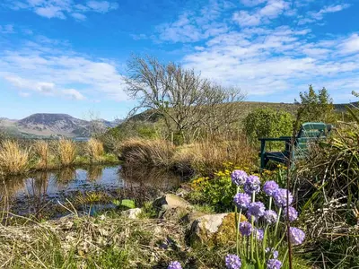 a bench sitting next to a river with flowers at Swinside Cottage in Ennerdale Bridge
