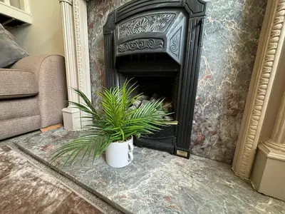 a fireplace with a plant in front of it at Scotch Terrace - 3 Bedrooms - Sleeps 6 in Whitehaven