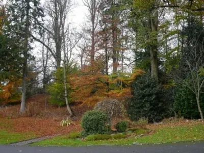 a group of trees and bushes on the side of a road at Keswick Bridge 21, within walking distance of Keswick town centre, strictly no pets in Keswick