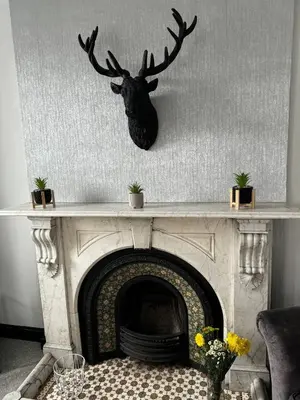 a deer head on a wall above a fireplace at Lowther Apartment - 2 Bedrooms - Sleeps 4 in Whitehaven