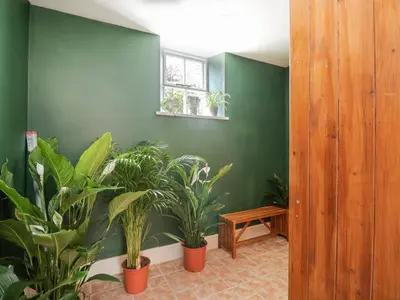 a green room with potted plants and a window at The Hollies in Carlisle