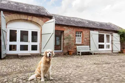 a dog sitting in front of a house at The Courtyard in Carlisle