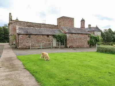 a dog grazing in the grass in front of a building at The Courtyard in Carlisle