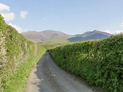 a dirt road between two hedges with mountains in the background at Cobble Cottage in Keswick