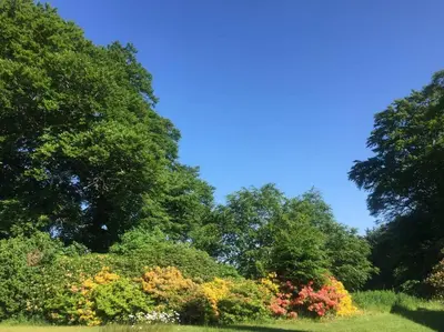 a group of trees and flowers in a field at Willow Cottage, Gilchristland Organic Farm in Closeburn